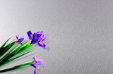 不锈钢雪花砂4
